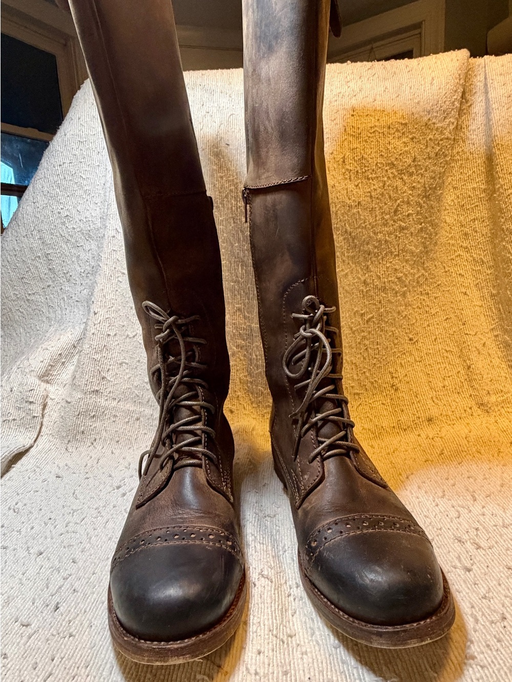 Jeffrey Campbell Distressed Brown Lace-Up Tall Riding Boots - Picture 8 of 11